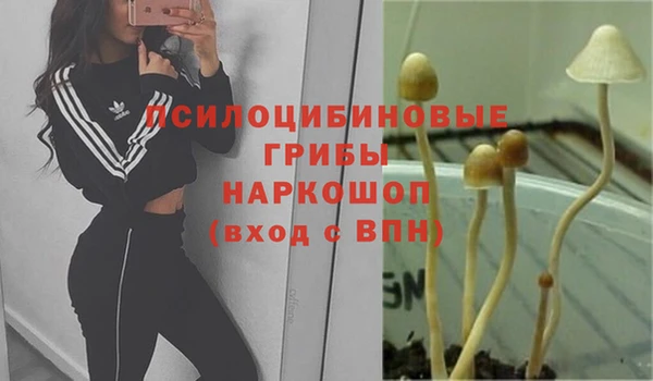 таблы Алексеевка