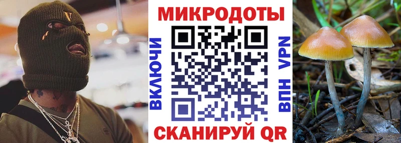 где купить наркоту  МЕГА зеркало  Галлюциногенные грибы прущие грибы  Электрогорск 