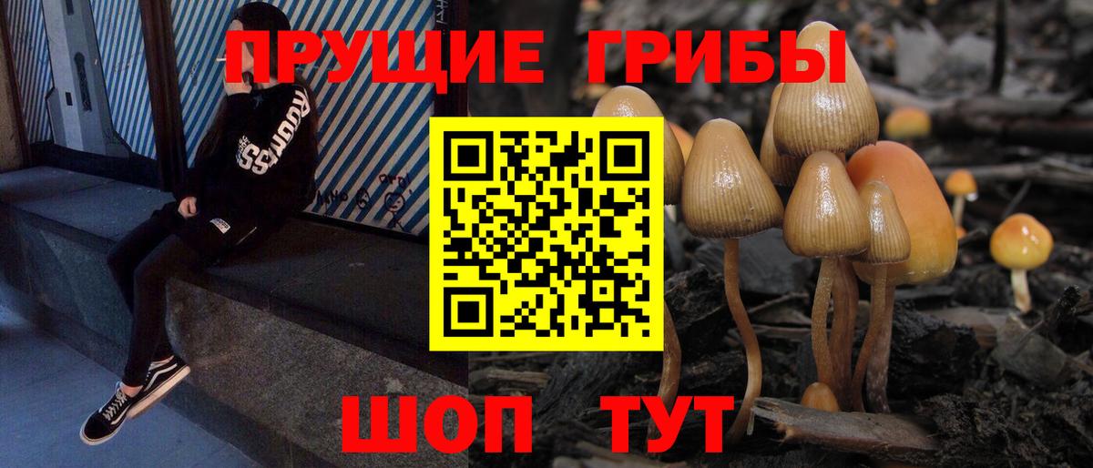 Электрогорск  Галлюциногенные грибы Magic Shrooms  Вход с VPN 