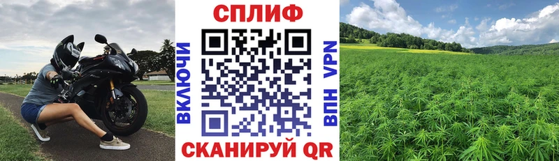 Бошки Шишки индика  цены   blacksprut ONION  Электрогорск 